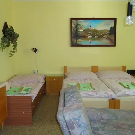 Guest house Dana *