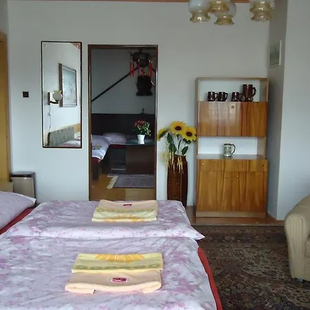 Guest house Dana *